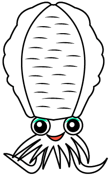 アオリイカ・オス・障泥烏賊・雄