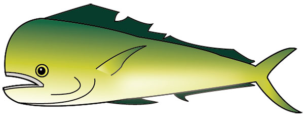 シーラ・シイラのイラスト