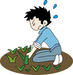 ���ނ���̒j���̃C���X�g