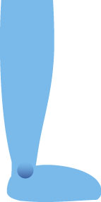 �r�E���E�F