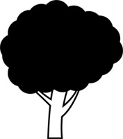 �؂̃C���X�g6�E���m�N��